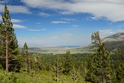 DSC_0073 (Large).JPG